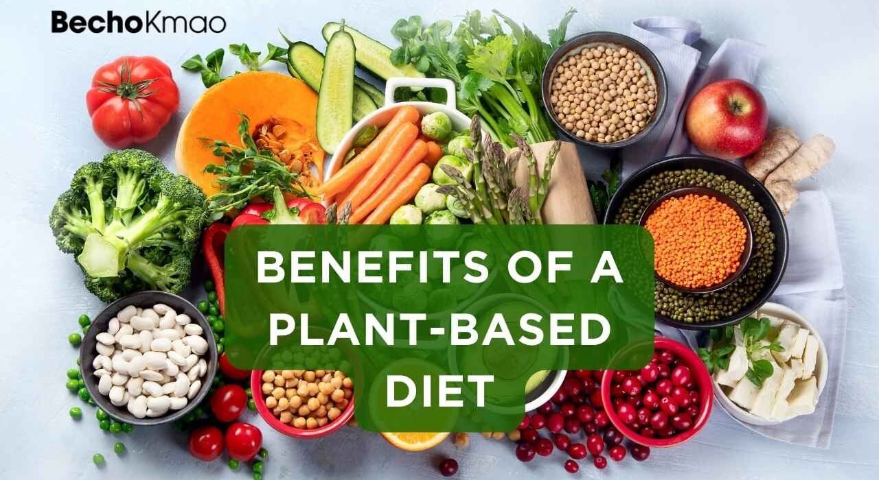 Benefits of a Plant-Based Diet