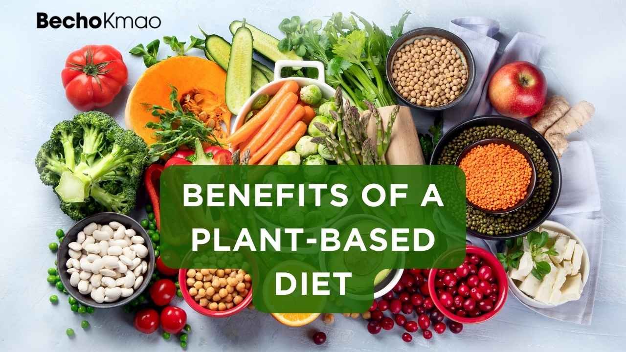 Benefits of a Plant-Based Diet